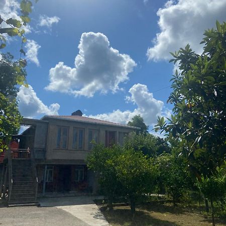 Hotel Dea Zugdidi Exteriér fotografie